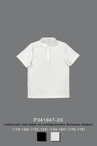 [P341947-2X] Поло для мальчика P341947-2X