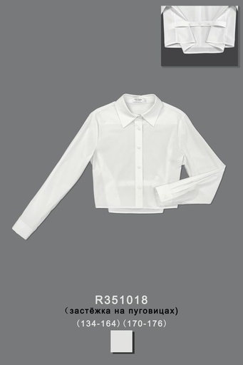 [R351018] Блуза для девочки R351018